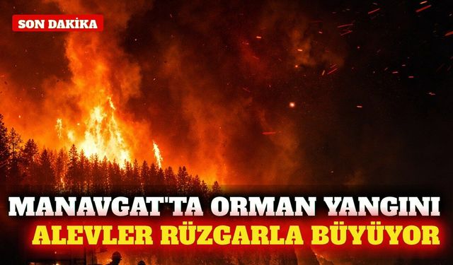 Manavgat'ta orman yangını rüzgarın etkisiyle büyüyor