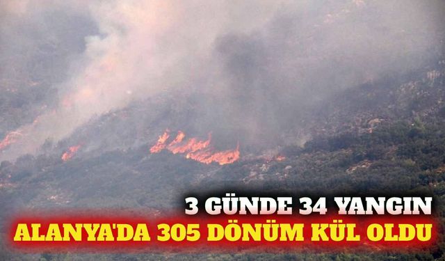 Antalya'da 3 günde 34 yangın: Alanya'da 305 dönüm yandı