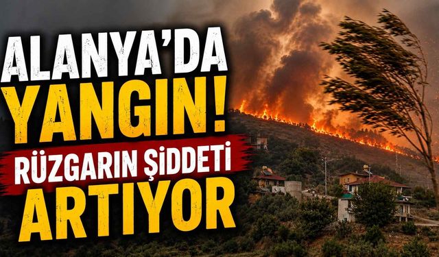 Alanya'da yangın! Rüzgarın şiddeti artıyor