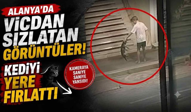 Alanya'da vicdan sızlatan görüntüler! Kediyi yere fırlattı