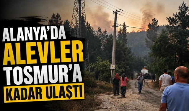 Alanya'da alevler Tosmur'a kadar ulaştı