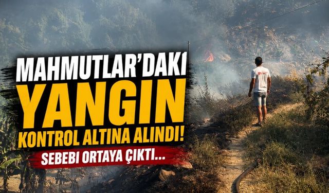 Alanya Mahmutlar'daki yangın kontrol altına alındı! Sebebi ortaya çıktı...