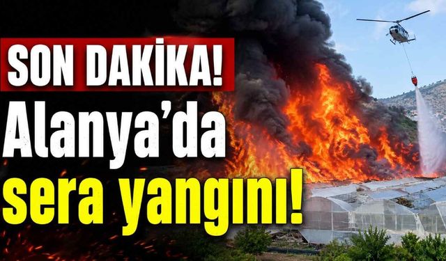 SON DAKİKA! Alanya'da sera yangını!