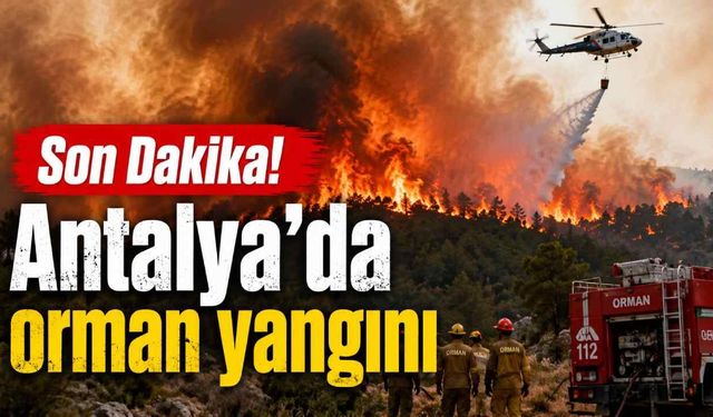 Kaş'ta orman yangınına havadan ve karadan yoğun müdahale