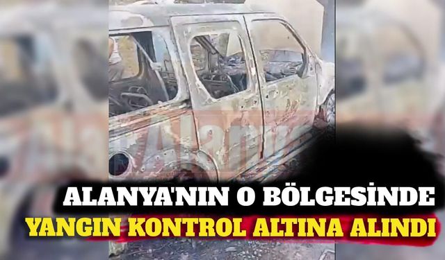 Karakocalı'da yangın kontrol altında: Ev ve araç yandı