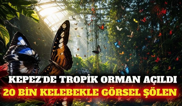 Kepez'de 20 bin kelebekli tropik orman ziyarete açıldı