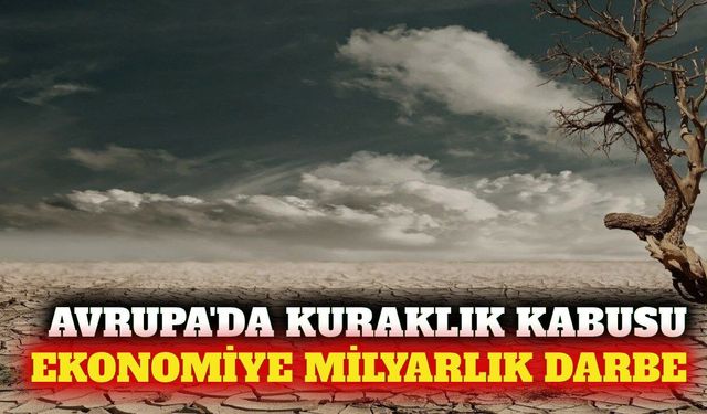 Avrupa'daki kuraklığın ekonomik faturası ağırlaşıyor