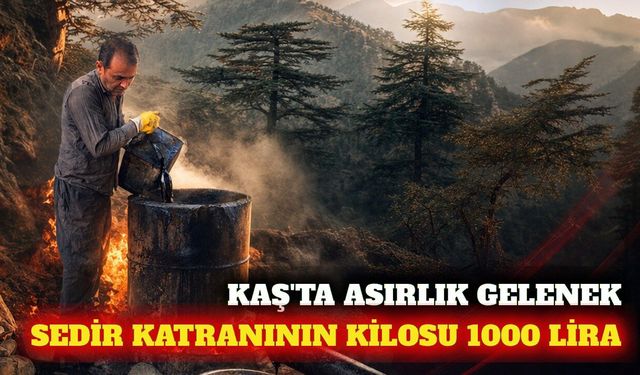 Kaş'ta asırlık gelenek: Kilosu 1000 liradan sedir katranı