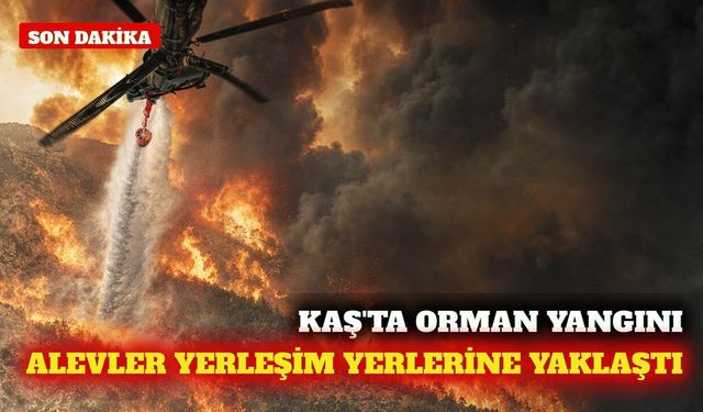 Kaş'ta orman yangını: Havadan ve karadan müdahale sürüyor