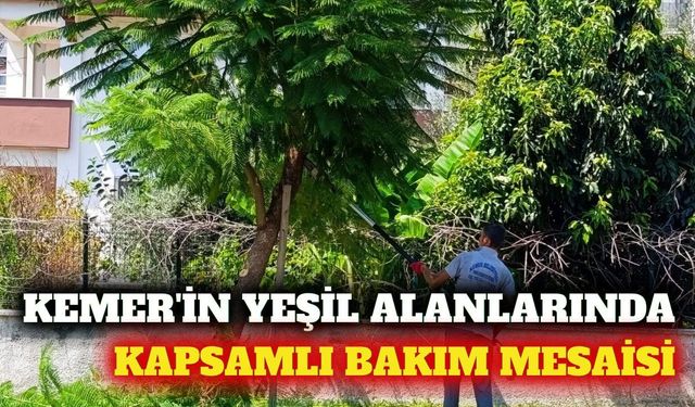 Kemer'de yeşil alan ve engelsiz park bakımı sürüyor