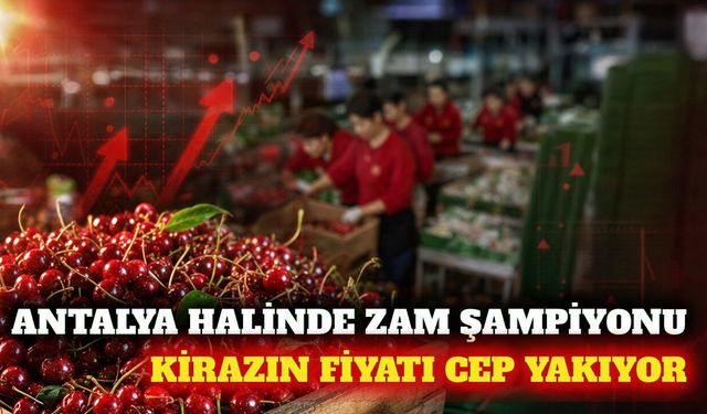 Antalya Halinde haftanın zam şampiyonu kiraz oldu