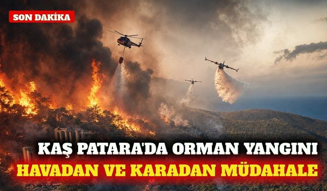 Kaş Patara'da orman yangınına yoğun müdahale