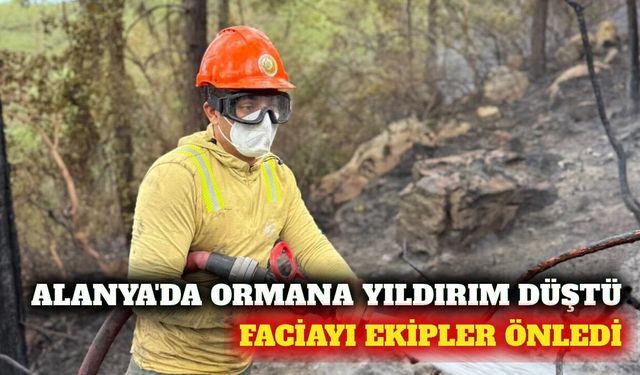 Alanya'da ormana yıldırım düştü: 1 dönüm alan zarar gördü