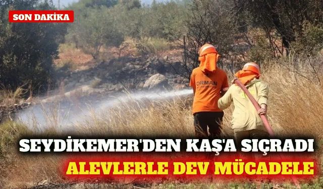 Seydikemer'den Kaş'a sıçrayan yangına havadan müdahale