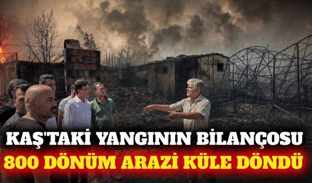 Kaş yangınında 800 dönüm arazi ve 25 yapı zarar gördü