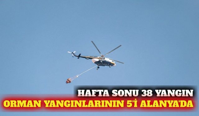 Hafta sonu 38 yangın: Orman yangınlarının 5'i Alanya'da