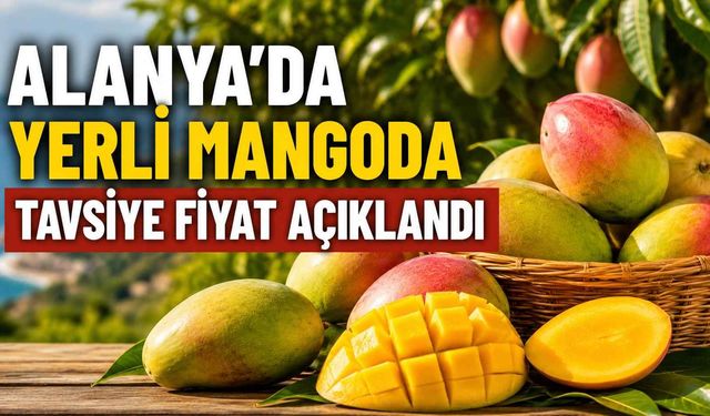 Alanya’da yerli mangoda tavsiye fiyat açıklandı