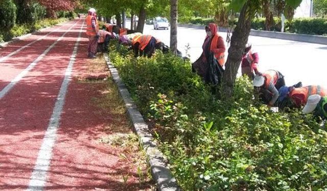 Park ve refüj yapılacak