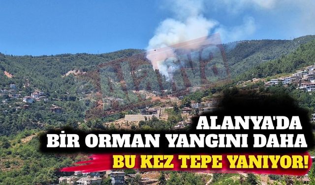 Son dakika - Alanya Tepe'de orman yangını kontrol altına alındı