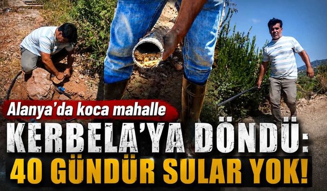 Alanya'da koca mahalle Kerbela'ya döndü: 40 gündür sular yok!