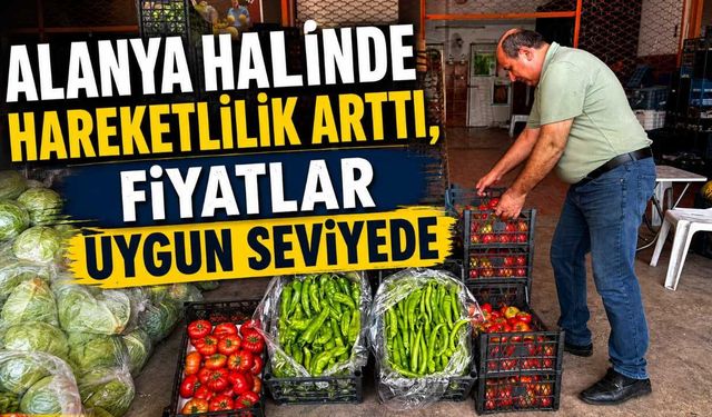Alanya halinde hareketlilik arttı, fiyatlar uygun seviyede
