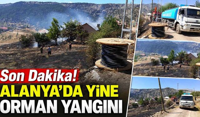 Son Dakika! Alanya'da yine orman yangını