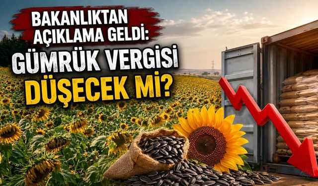 Bakanlıktan açıklama geldi: Gümrük vergisi düşecek mi?