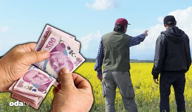 200 binden başlayan fiyatlarla arsalar satışta