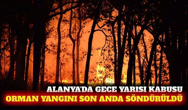 Alanya'da gece yarısı orman yangını! Alevler son anda kontrol altına alındı