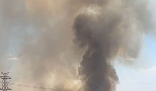 Ankara’da orman yangını paniği: Villalar tahliye edildi