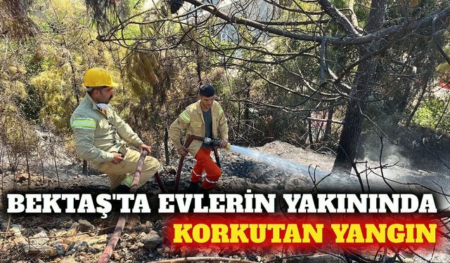 Bektaş'ta yerleşim yerine yakın çalılık yangını
