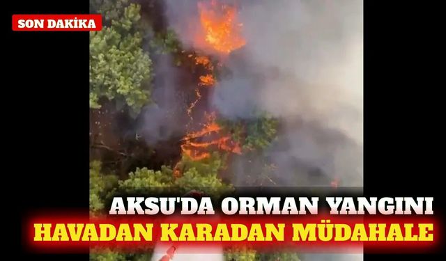 Aksu'da orman yangını: 275 personelle müdahale sürüyor