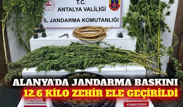 Alanya'da uyuşturucu baskını: 12.6 kilo skunk ele geçirildi