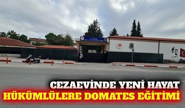 Antalya'da hükümlülere domates yetiştiriciliği eğitimi