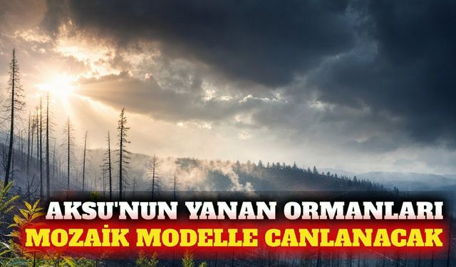 Antalya Aksu yangını sonrası ormanlar nasıl yenilenecek?
