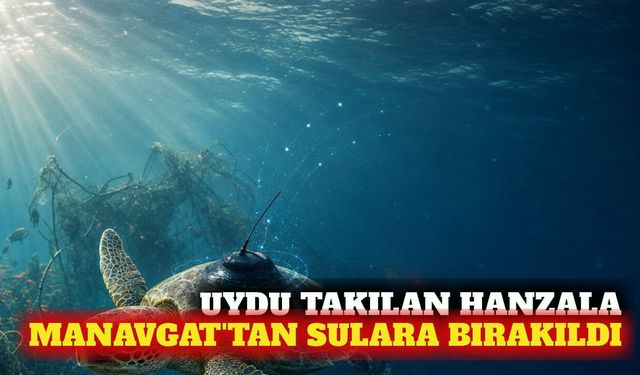Manavgat'ta uydu takılan Hanzala denize uğurlandı