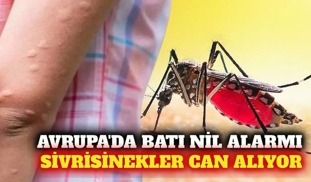 Avrupa'da Batı Nil virüsü vakaları artıyor: 3 can kaybı