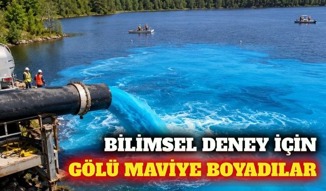 Alg deneyi için gölü maviye boyayıp gübrelediler