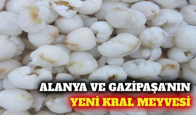 Alanya ve Gazipaşa'nın yeni tropikal ürünü liçi meyvesi