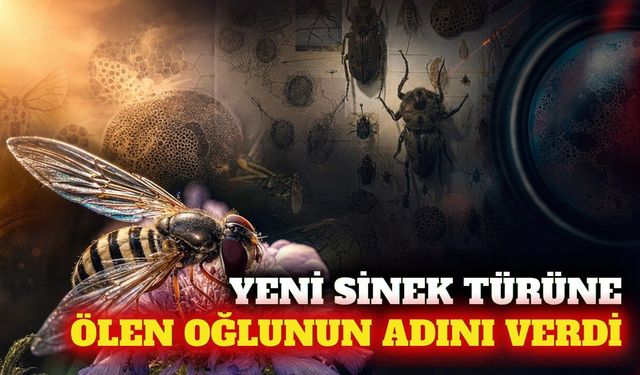 Yeni sinek türüne 28 yıl önce ölen oğlunun adını verdi