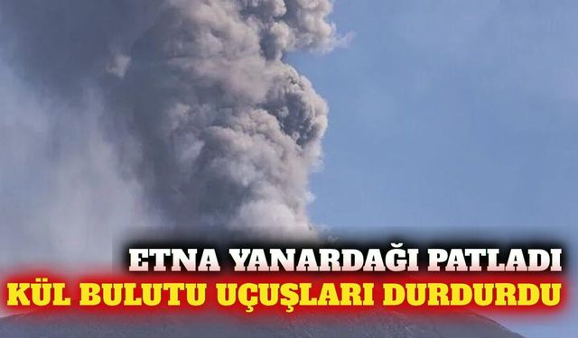 Etna Yanardağı'nda kül bulutu: Catania'da uçuşlar iptal