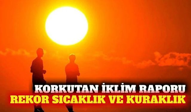 Türkiye'nin iklim raporu: 2024 en sıcak, 2025 en kurak yıl