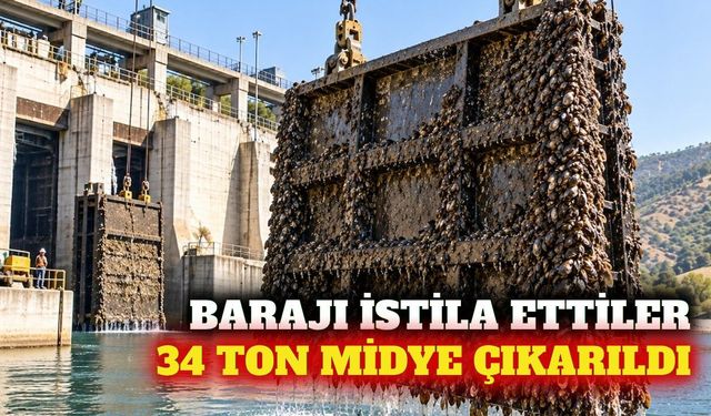 Missouri Nehri'ndeki barajdan 34 ton midye çıkarıldı