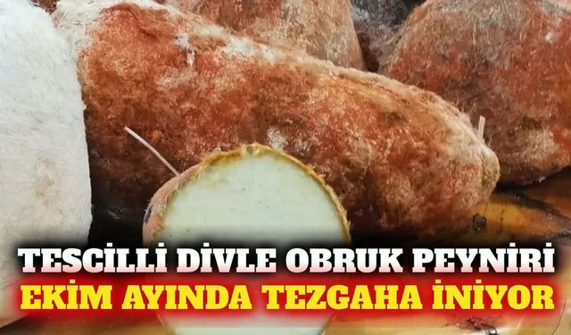 Tescilli Divle Obruk peyniri ekim ayında satışa çıkıyor