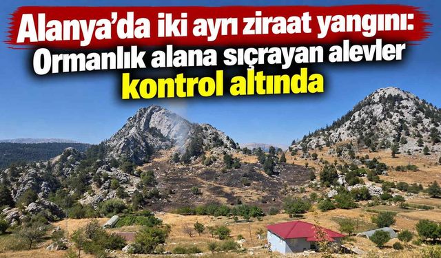 Alanya’da iki ayrı ziraat yangını: Ormanlık alana sıçrayan alevler kontrol altında