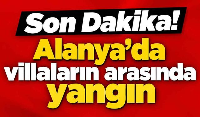 Son Dakika! Alanya'da villaların arasında yangın
