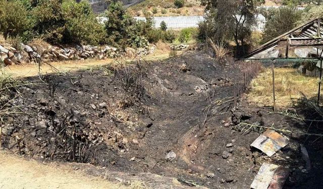 Alanya Konaklı'da yangın: 10 dönüm alan zarar gördü
