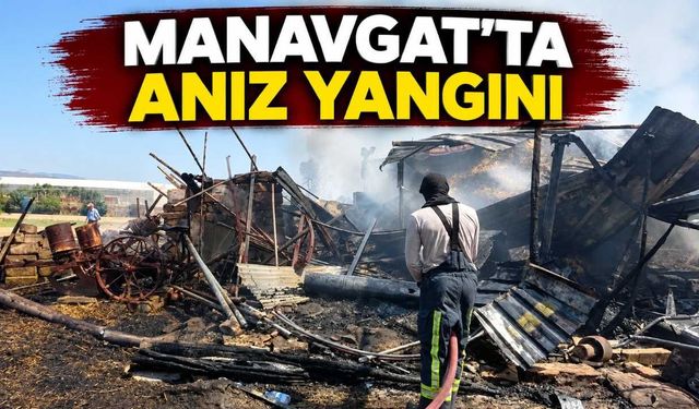 Manavgat'ta anız yangını ağıla sıçradı: 2 keçi telef oldu