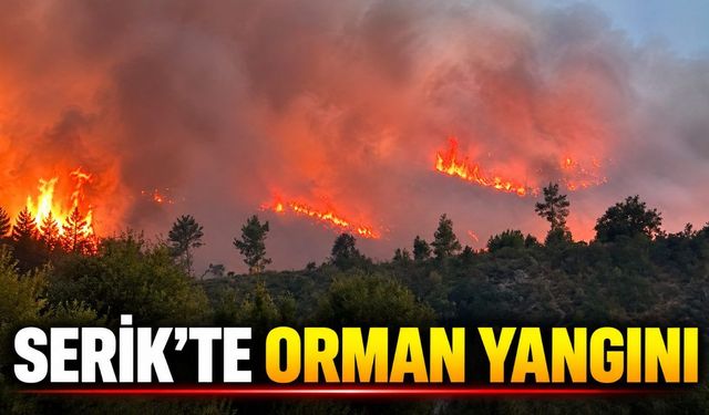 Serik'teki orman yangınında gece boyunca müdahale sürdü