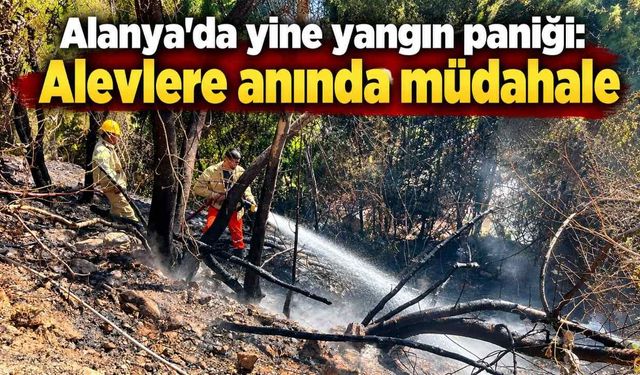 Alanya’da yine yangın paniği: Alevlere anında müdahale